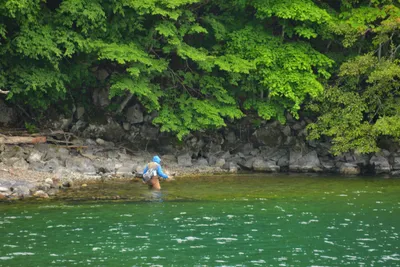 DSC_3921 (Large).JPG